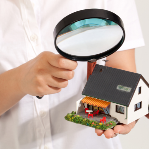 Best Pest Control Service in OKC