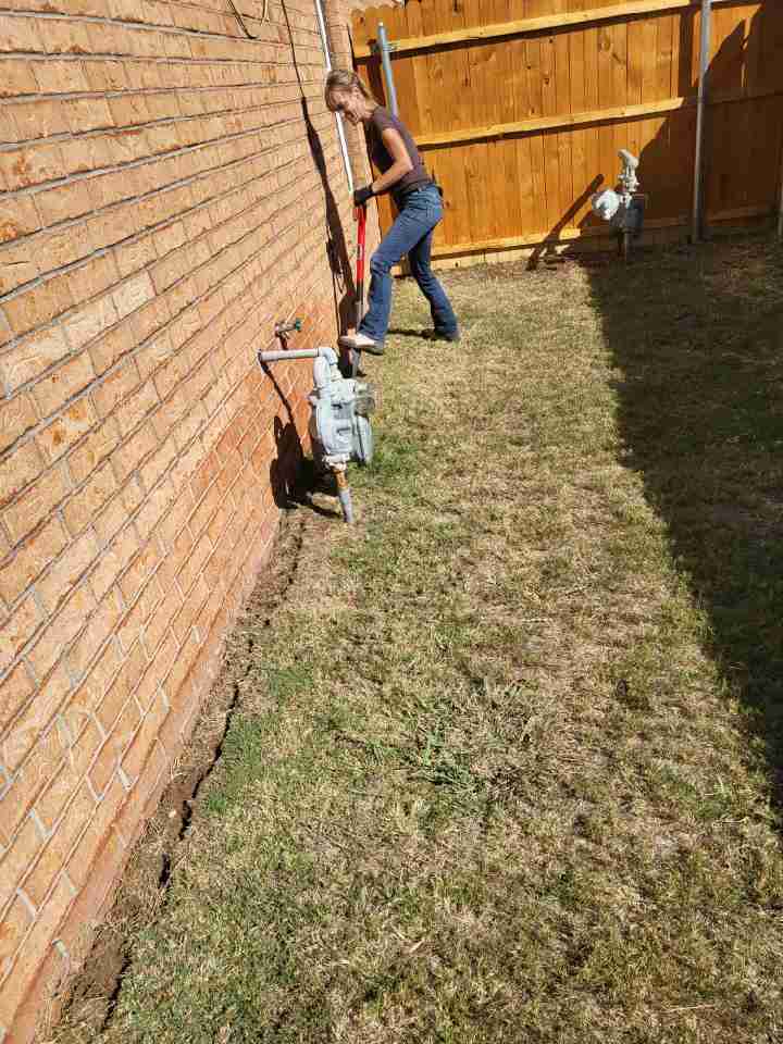 home termite treatment