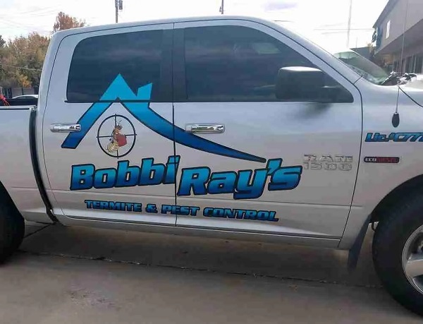 Call A pest control professional