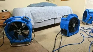 Bed Bug Heat Treatment in Oklahoma City