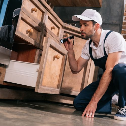 General pest control treatment