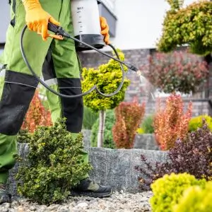 Natural Pest Control techniques near Oklahoma City