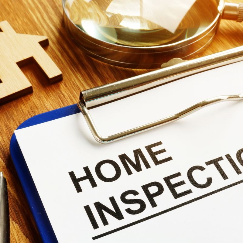 pest control strategy and planning
